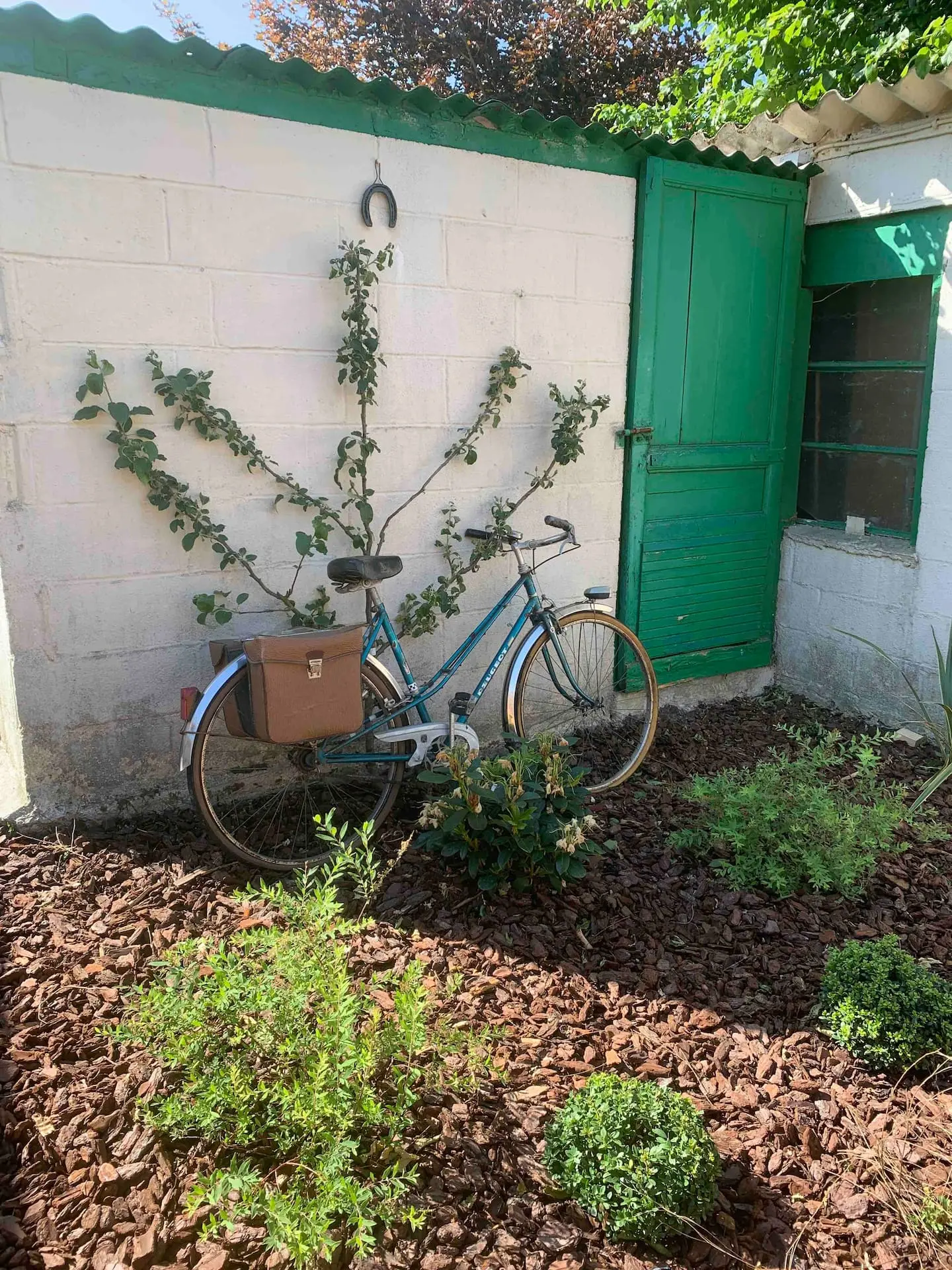 presentation-picture